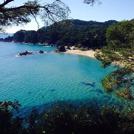 Appartements Les Pesquiers 2 Hyeres Plage 外观 照片