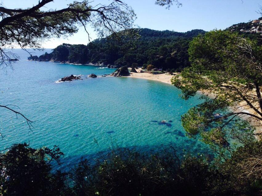 Appartements Les Pesquiers 2 Hyeres Plage 外观 照片